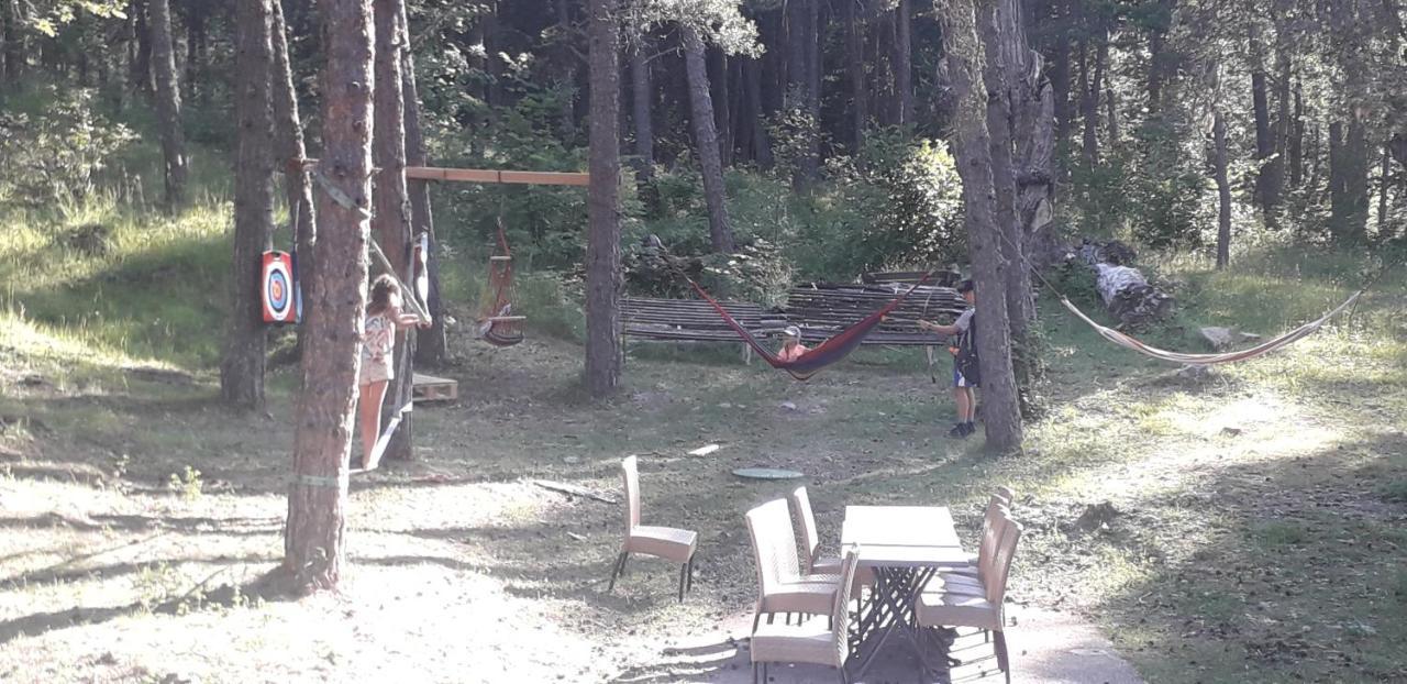 Отель Les Pinees Шатору-лез-Альп Экстерьер фото