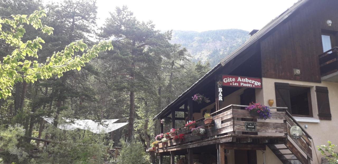Отель Les Pinees Шатору-лез-Альп Экстерьер фото